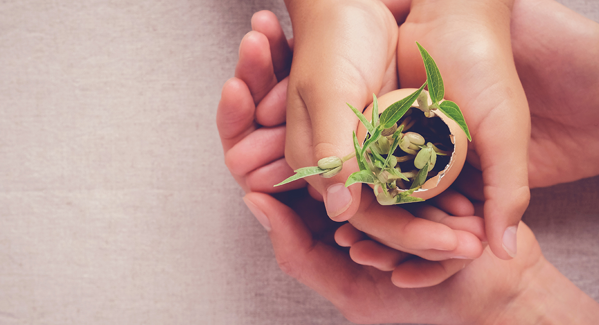 サステナビリティ